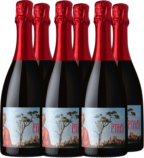 Conegliano Valdobbiadene Prosecco Superiore DOCG Paket - Terre del Cima