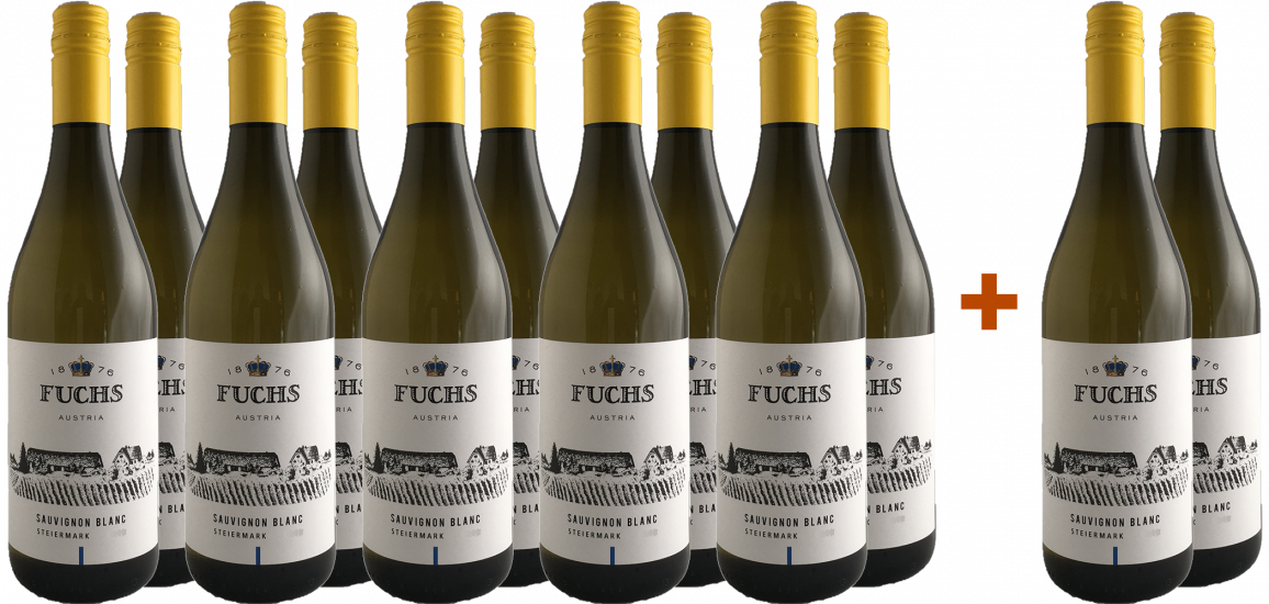 10+2 2024 Steiermark Sauvignon Blanc Paket - Weingut Fuchs