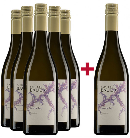 5+1 Donauriesling Bio Paket Bio - Weingut Familie Bauer