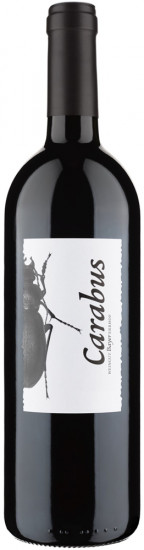 2022 Carabus Rot trocken - Weingut Bayer-Erbhof