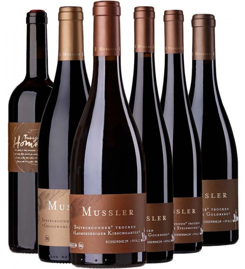 Mussler Rotweinpreis-Paket - Weingut Mussler