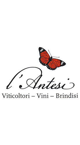 2023 Casalécchio di Sorbo Cuvée Salento IGP trocken - L'Antesi