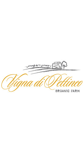 2021 Amongae Bio - Vigna di Pettineo