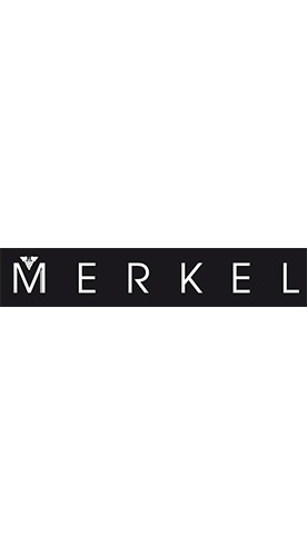 2019 Gundersheimer Sauvignon Blanc trocken - Weingut Burgunderhof Merkel