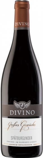 2019 DIVINO Großes Gewächs Spätburgunder trocken - Divino eG