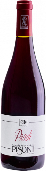 2023 Pradi Teroldego Vigneti delle Dolomiti IGP trocken Bio - Pisoni Azienda Agricola