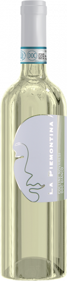 2023 Bianco Colline Novaresi DOC trocken 1,5 L - La Piemontina