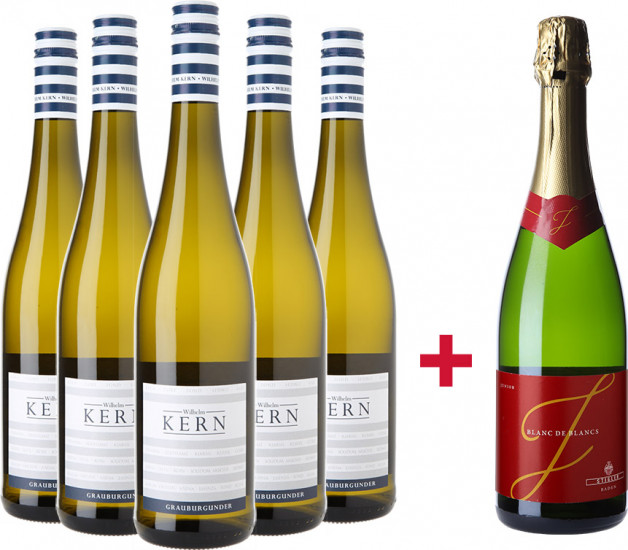 Stettener Häder Grauburgunder 5+1 Paket