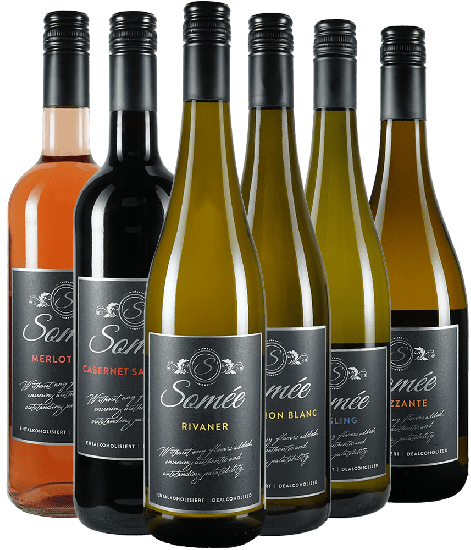 Somée Kennenlern-Paket - Somee