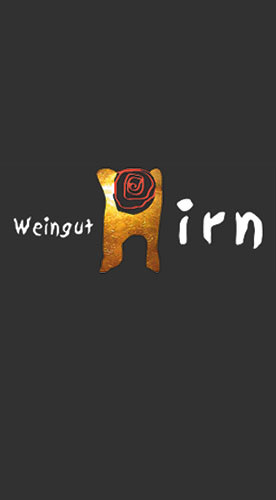 2018 Regent DQ trocken - Weingut Hirn