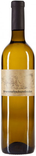 2024 Riesling vom Brummelsochsenboden trocken - Weingut Boxheimerhof