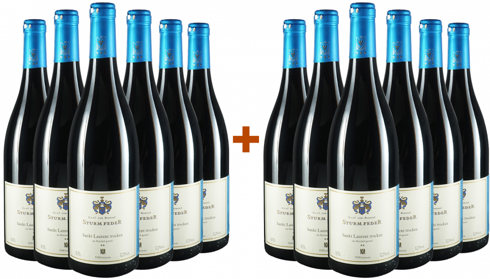 6+6 Sankt Laurent - Weingut Graf von Bentzel-Sturmfeder