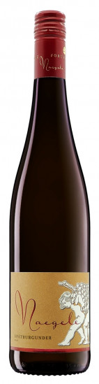 2024 Spätburgunder Hambach trocken - Georg Naegele - Schlossbergkellerei