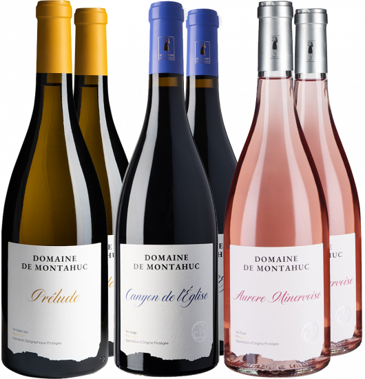 Domaine de Montahuc Kennenlernen-Paket Bio - Domaine de Montahuc