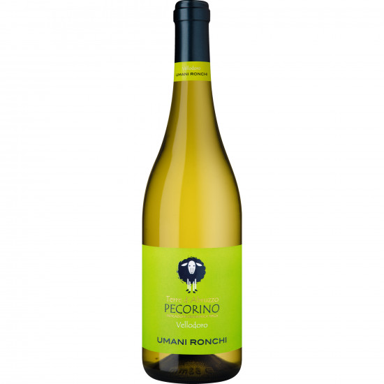 2024 Vellodoro Pecorino trocken - Umani Ronchi