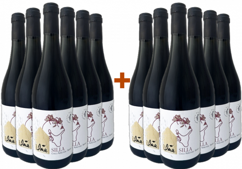 6+6 Paket Silla Colli Aprutini IGP - Uma Casanatura