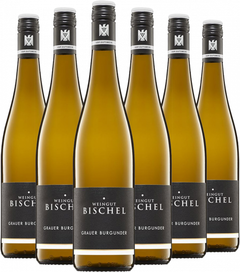 Grauburgunder VDP.Gutswein-Paket Bio - Weingut Bischel
