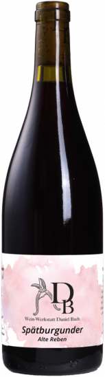 2022 Spätburgunder Alte Reben trocken - Wein-Werkstatt Daniel Bach