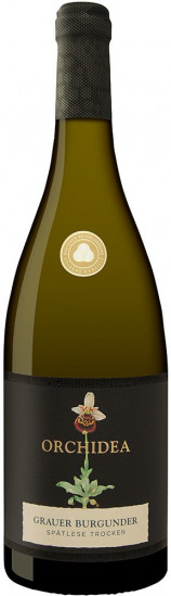 2024 Limburg Grauer Burgunder Spätlese EDITION ORCHIDEA trocken - Sasbacher Winzerkeller