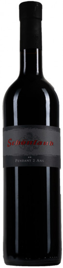 2009 PENDANT® 2 ANS trocken - Weingut Schönlaub