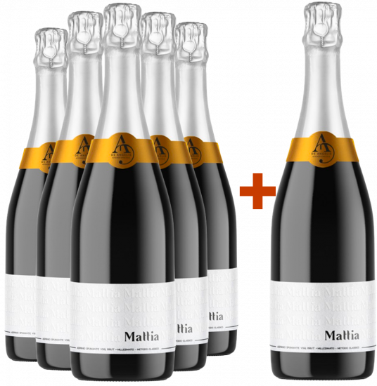 5+1 Paket Mattia Terre del Volturno IGP - AsprinioDeAngelis