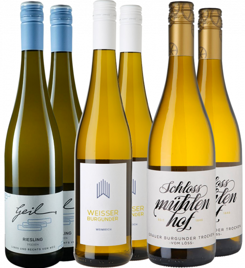 Rheinhessen Entdecker-Paket - WirWinzer Select