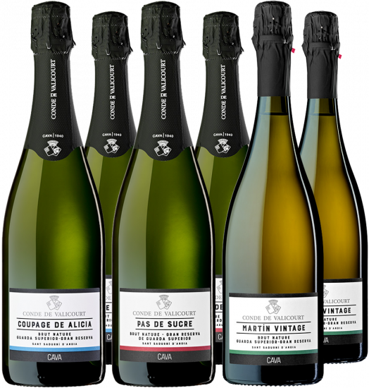 Conde de Valicourt Gran Reserva Kennenlernpaket Cava DO - Cava Conde de Valicourt