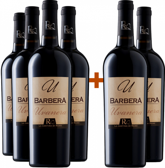 4+2 Paket Barbera Terre degli Osci IGP - La Cantina di Remo