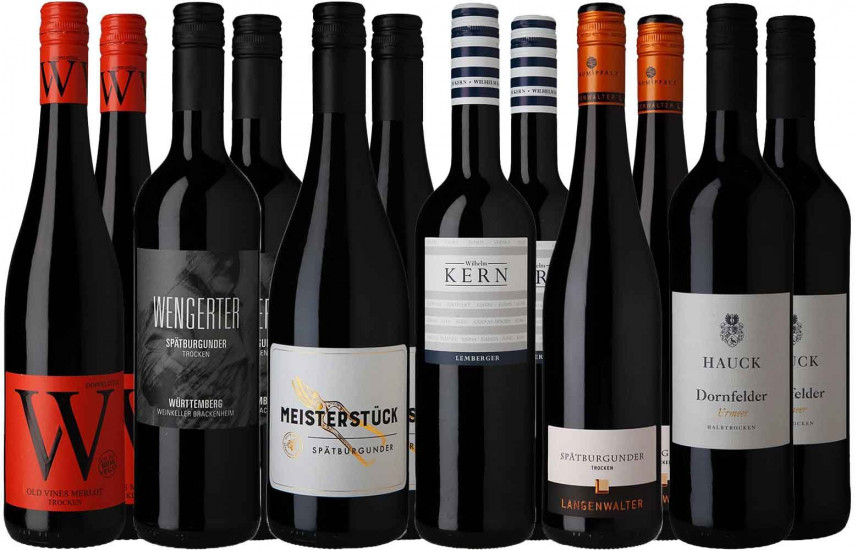Großes Rotwein Entdecker-Paket 