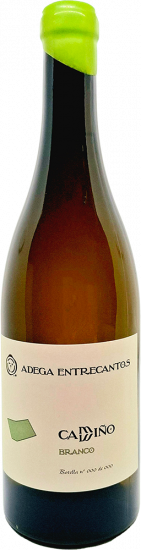 2023 Camiño Branco trocken - Adega Entrecantos