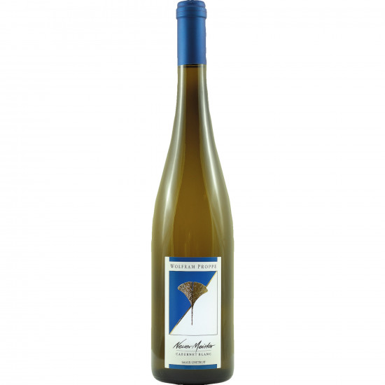 2022 Neuer Meister Cabernet Blanc trocken - Weingut Wolfram Proppe