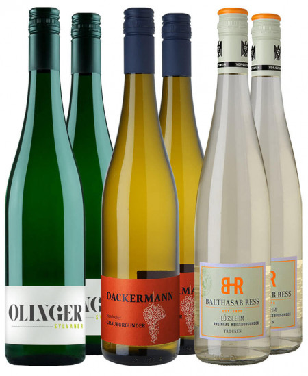 Jungwinzer Entdecker-Paket