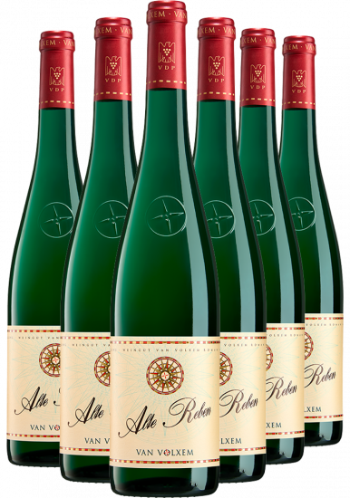 Alte Reben Riesling-Paket - Weingut Van Volxem