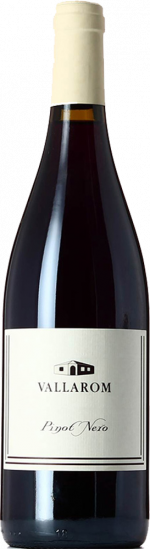 2022 Pinot Nero Vallagarina IGP Bio - Travino Special Valsugana