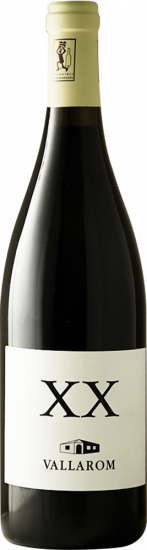 2020 Syrah XX Vallagarina IGP Bio - Travino Special Valsugana