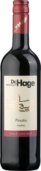 2022 Pinotin trocken - Weingut Dr. Hage GbR