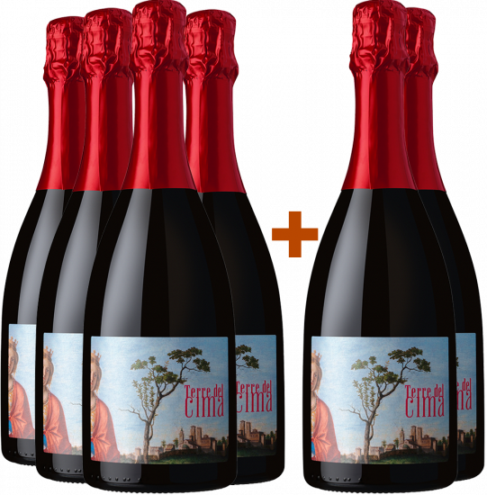 4+2 Paket Conegliano Valdobbiadene Prosecco Superiore DOCG - Terre del Cima
