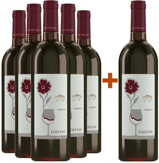 5+1 Paket Merlot Friuli Aquileia DOC - Foffani