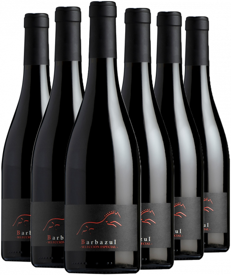 Barbazul Selección Aktionspaket Cádiz VT - Huerta de Albalá