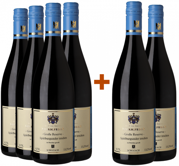4+2 Spätburgunder Große Réserve trocken - Weingut Graf von Bentzel-Sturmfeder