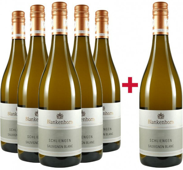 Sauvignon Blanc VDP.ORTSWEIN Paket - Weingut Blankenhorn