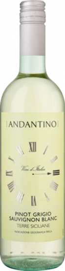 2023 Andantino Pinot Grigio Sauvignon Blanc trocken - WirWinzer Select