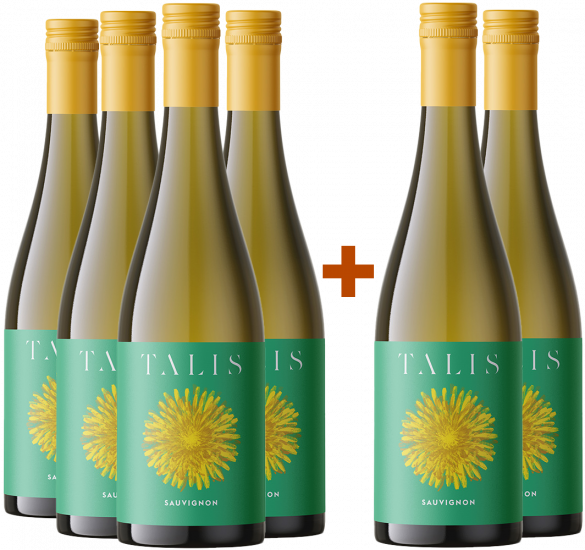 4+2 Paket 2022 Talis Sauvignon Friuli DOC - Talis Wine