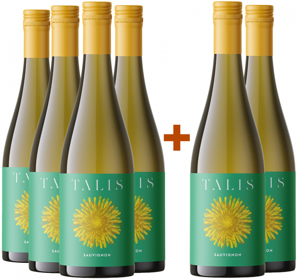4+2 2022 Talis Sauvignon Friuli DOC - Talis Wine