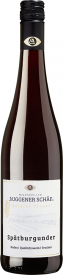 2025 Tradition Spätburgunder Rotwein trocken - Winzerkeller Auggener Schäf