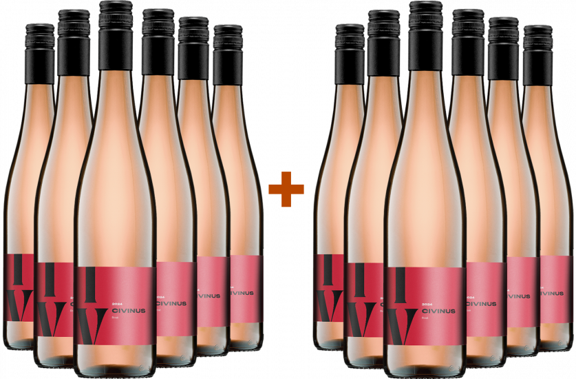 6+6 Civinus Rosé BIO Bio - Weingut Franz