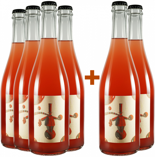 4+2 Paket Universi Paralleli - Viv Winery