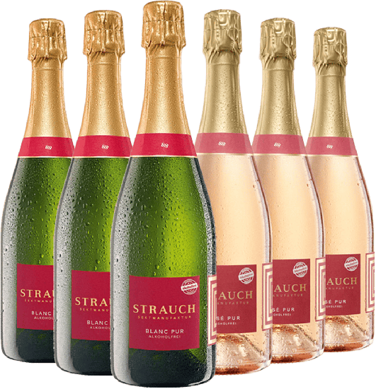 Sekt-Paket Pur entalkholisiert Bio - Strauch Sektmanufaktur