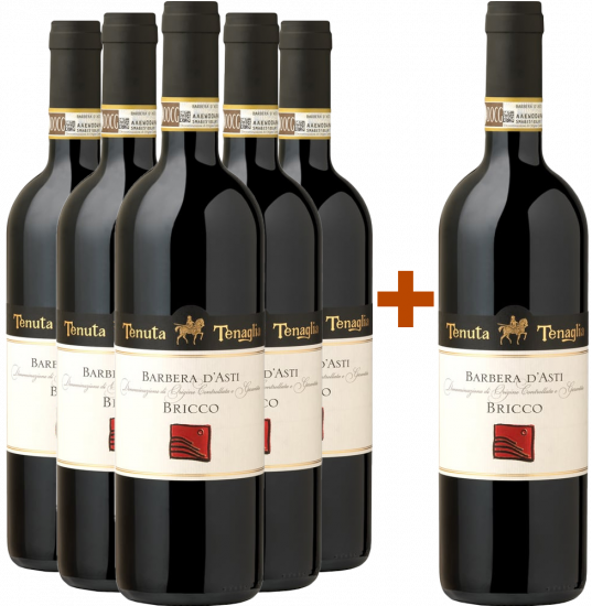 5+1 Paket Bricco Barbera d'Asti DOCG trocken - Tenuta Tenaglia