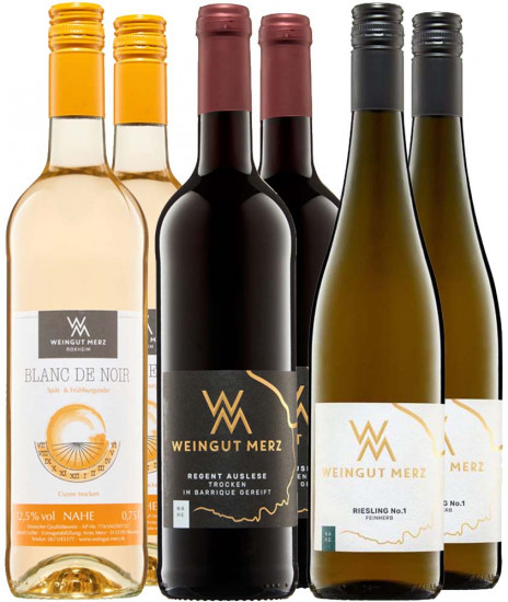 Merz Kennenlern-Paket - Weingut Merz